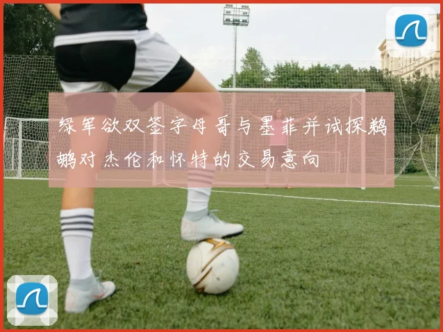 绿军欲双签字母哥与墨菲并试探鹈鹕对杰伦和怀特的交易意向
