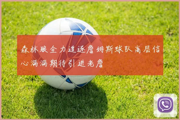 森林狼全力追逐詹姆斯球队高层信心满满期待引进老詹