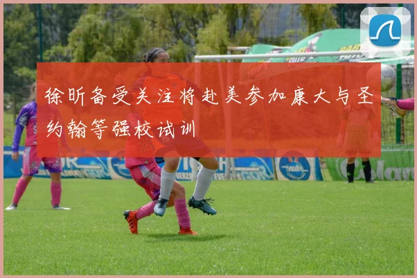 徐昕备受关注将赴美参加康大与圣约翰等强校试训